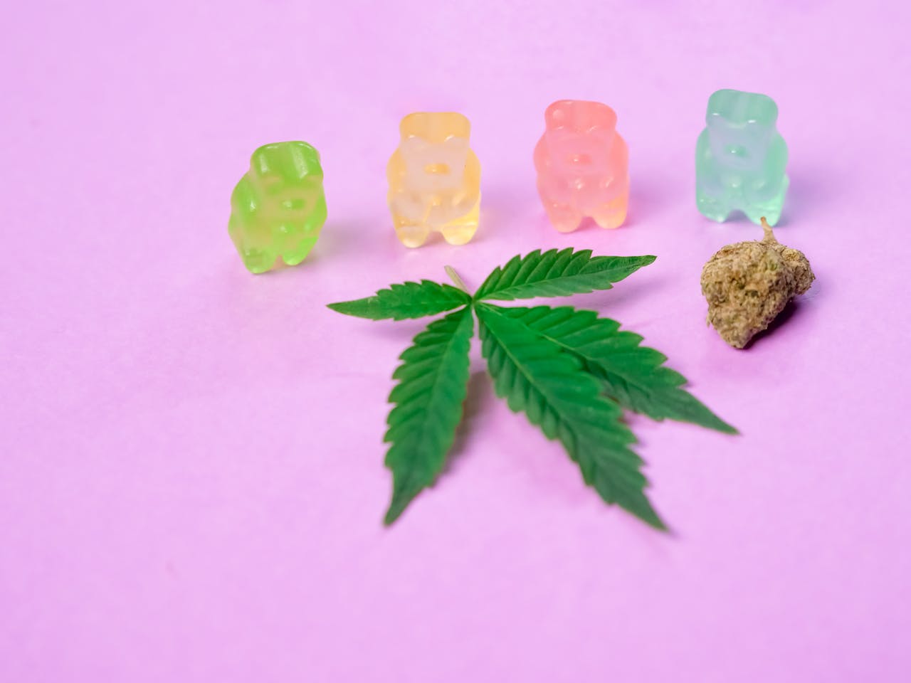 Vibrant gummy bears with a cannabis leaf and bud on a pastel pink background.